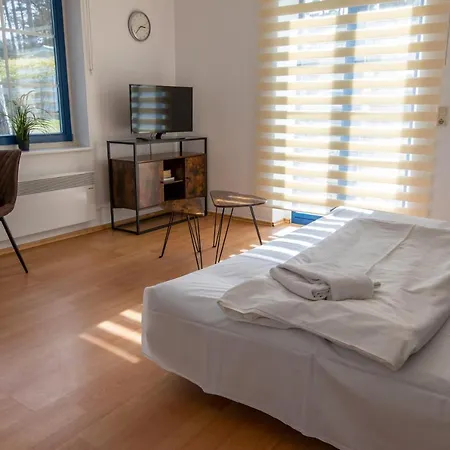 Zum Knirk Apartment *