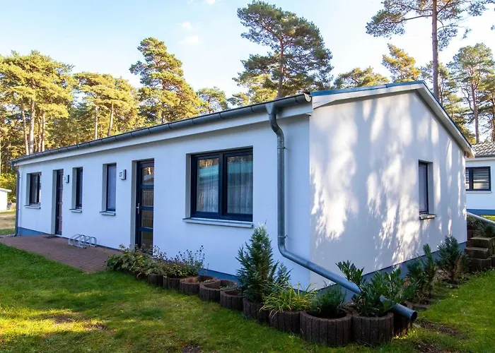 Apartamento Zum Knirk Lubmin